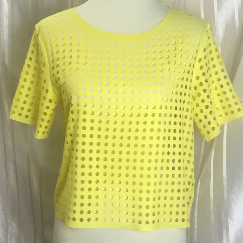 Host Pick🎉🎊Yellow See Through Polka Dot Top